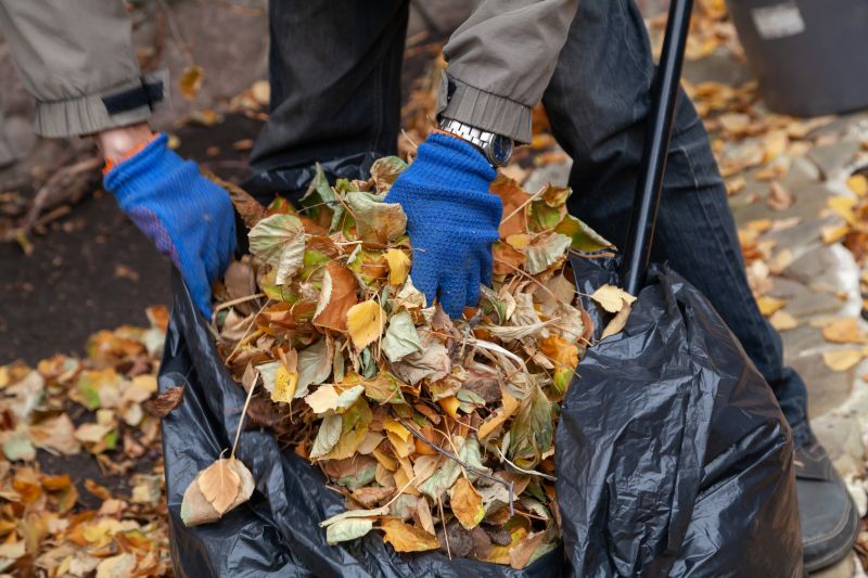 Autumn Leaf Pile Cleanup