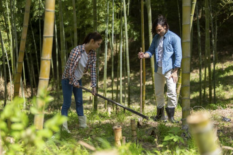 Eco-Friendly Options