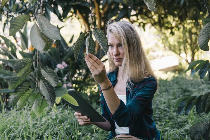 Invasive Species Monitoring